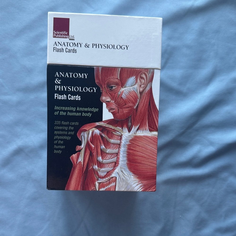 Scientific Publishing Anatomy & Physiology Flash Cards - Red Illustration